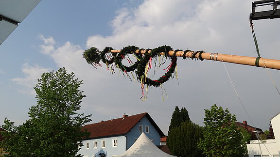 Maibaum.JPG  